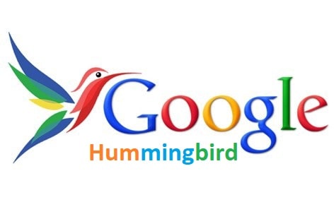 Google Hummingbird Google Hummingbird