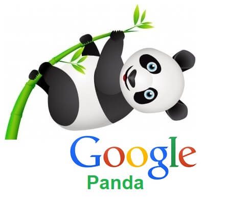 Google Panda Google Panda
